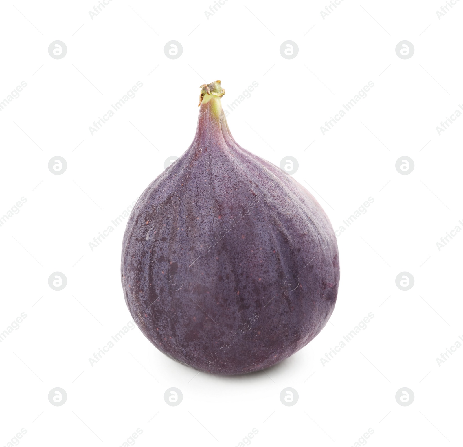 Photo of Whole tasty fresh fig isolated on white