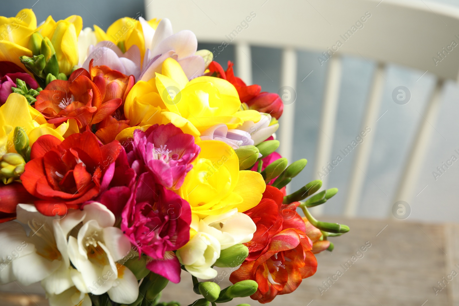 Photo of Beautiful bright freesia flowers on blurred background, closeup. Space for text