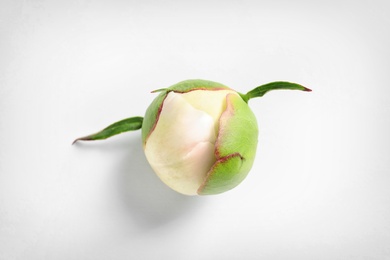 Photo of Beautiful bud of peony flower on white background, top view