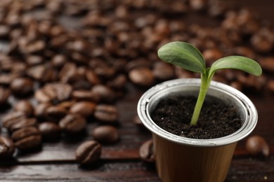 Photo of Coffee capsule with seedling and beans on table, closeup. Space for text