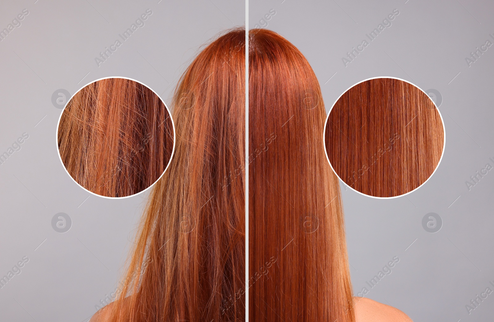 Image of Photo of woman divided into halves before and after hair treatment on grey background, back view. Zoomed area showing damaged and healthy strand