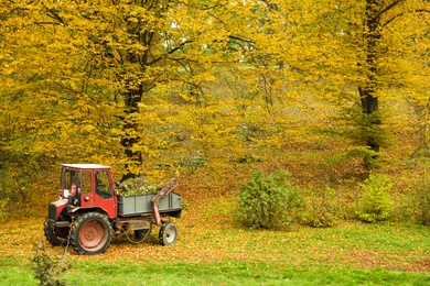 View of tractor in forest on autumn day