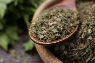 Photo of Dried aromatic parsley and spoon in bowl on table, closeup