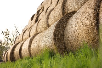 Photo of Many hay bales on green grass outdoors