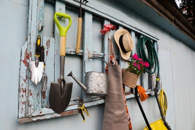 Beautiful plant, gardening tools and accessories on shed wall