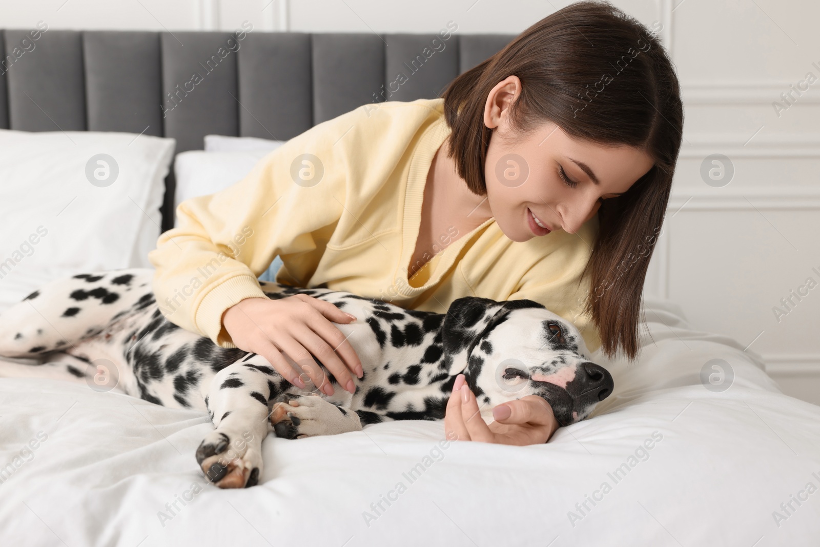 Photo of Beautiful woman with her adorable Dalmatian dog on bed at home. Lovely pet