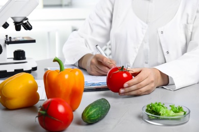 Photo of Scientist with fresh vegetables and clipboard at table in laboratory, closeup. Poison detection