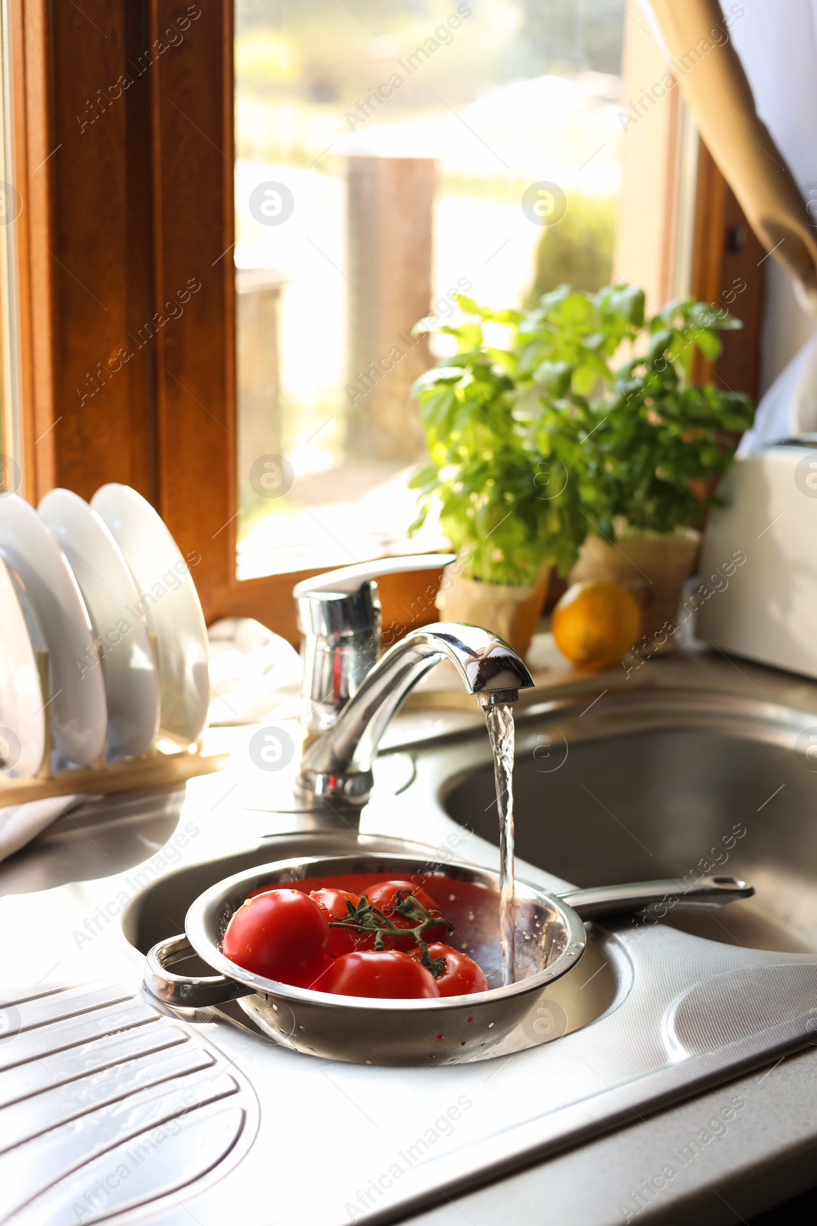 Photo of Fresh ripe tomatoes under tap water in kitchen sink