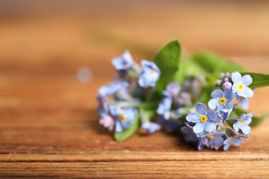 Photo of Beautiful forget-me-not flowers on wooden background, closeup. Space for text