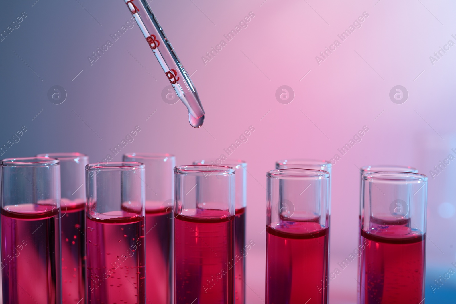 Photo of Dripping reagent into test tube with red liquid, closeup. Laboratory analysis