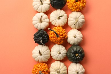 Different ripe pumpkins on coral background, flat lay