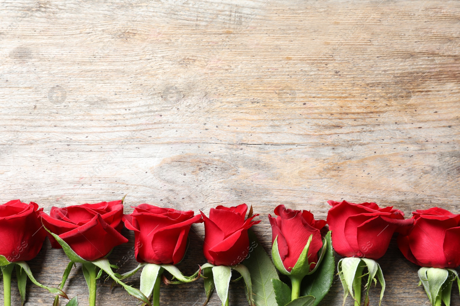 Photo of Beautiful red rose flowers on wooden background, top view