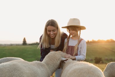 Photo of Mother and daughter with sheep on pasture. Farm animals