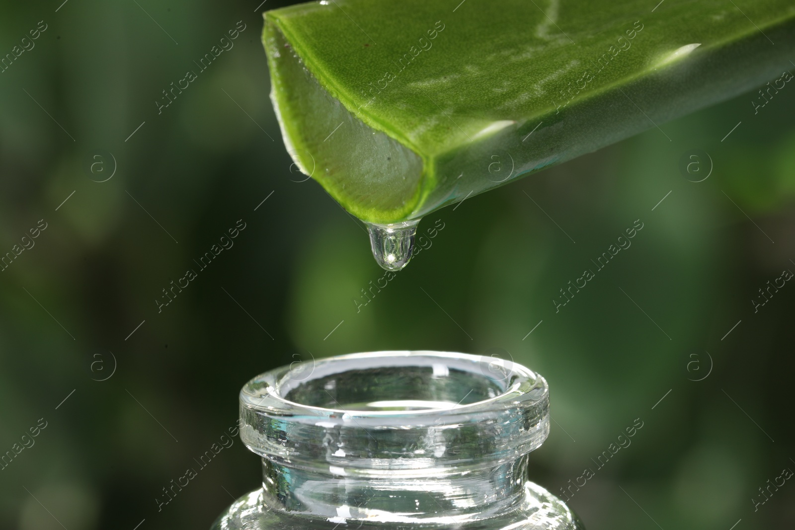 Photo of Aloe vera gel dripping from leaf into bottle against blurred background, macro view