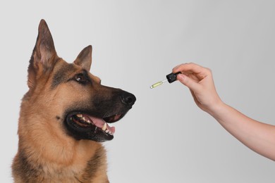 Photo of Woman giving tincture to German Shepherd dog on white background, closeup