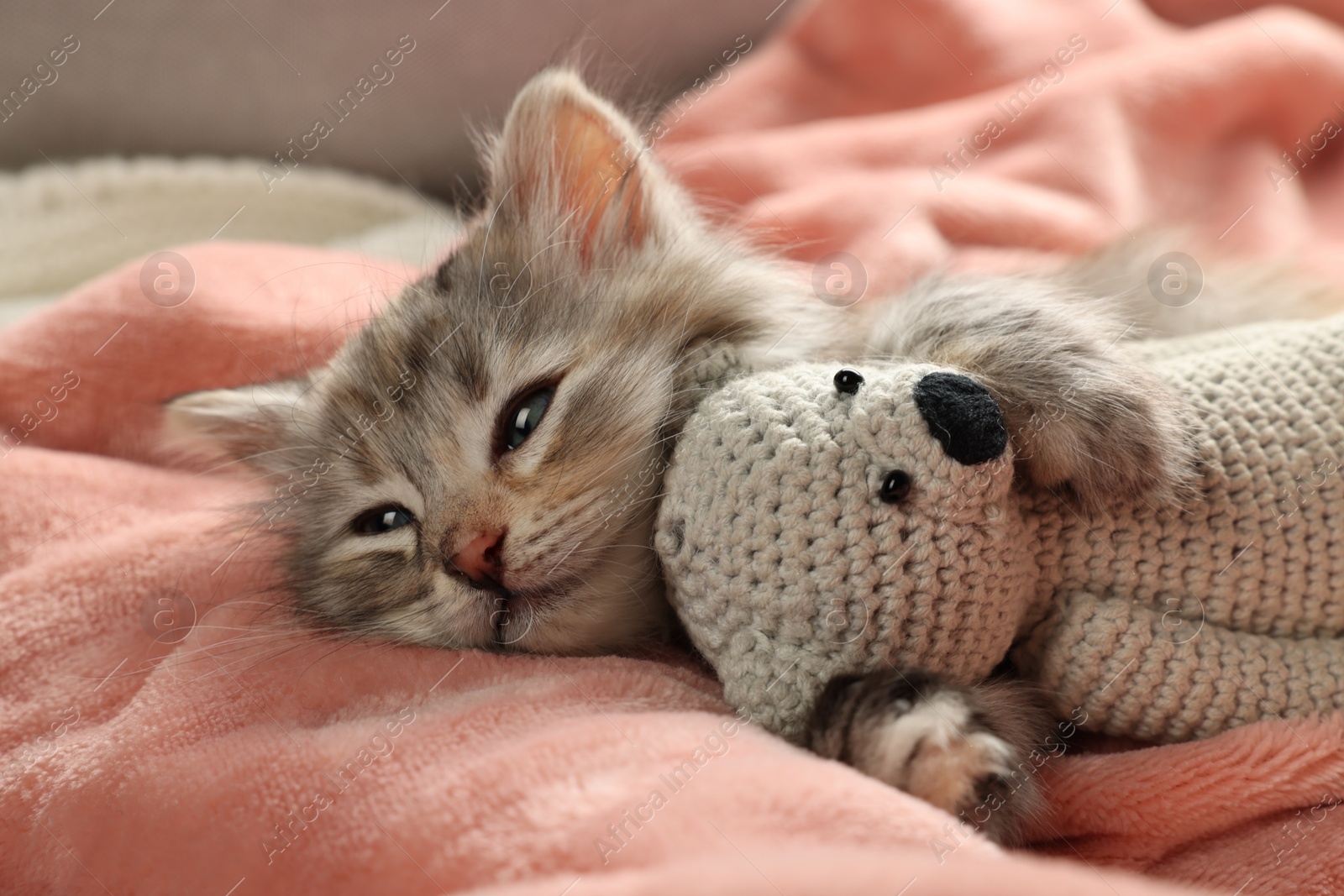 Photo of Cute sleepy kitten with toy on soft pink blanket