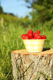 Photo of Bowl of ripe strawberries on tree stump outdoors