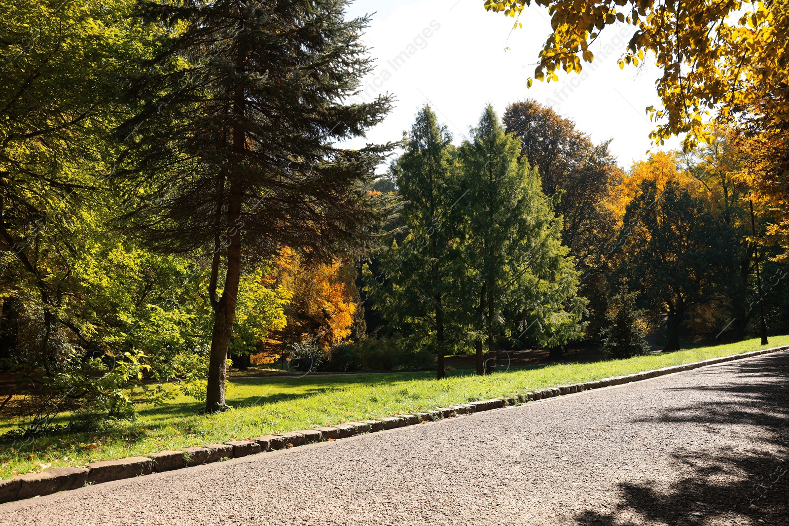 Photo of Pathway, trees and green grass in beautiful park on autumn day