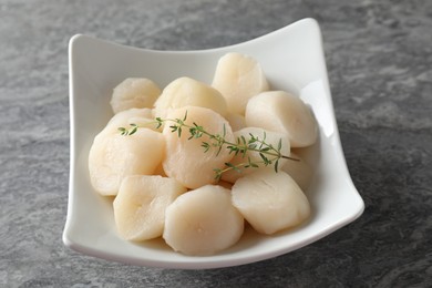 Fresh raw scallops and thyme in bowl on grey table
