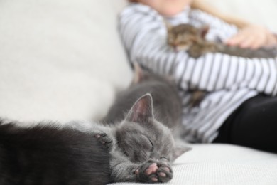 Photo of Little girl with fluffy kittens on sofa indoors, selective focus