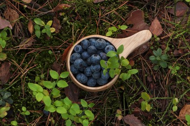 Photo of Wooden mug full of fresh ripe blueberries in grass, top view