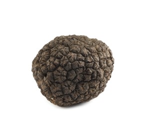 One whole black truffle isolated on white