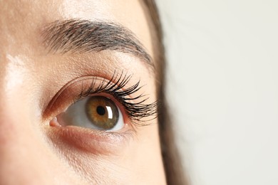 Macro photo of woman with beautiful eyes on light background. Space for text