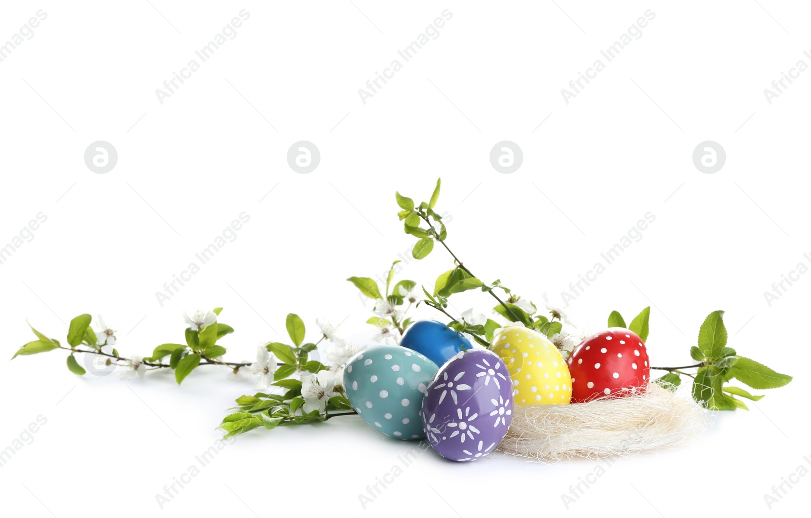 Photo of Painted Easter eggs and blossoming branches on white background