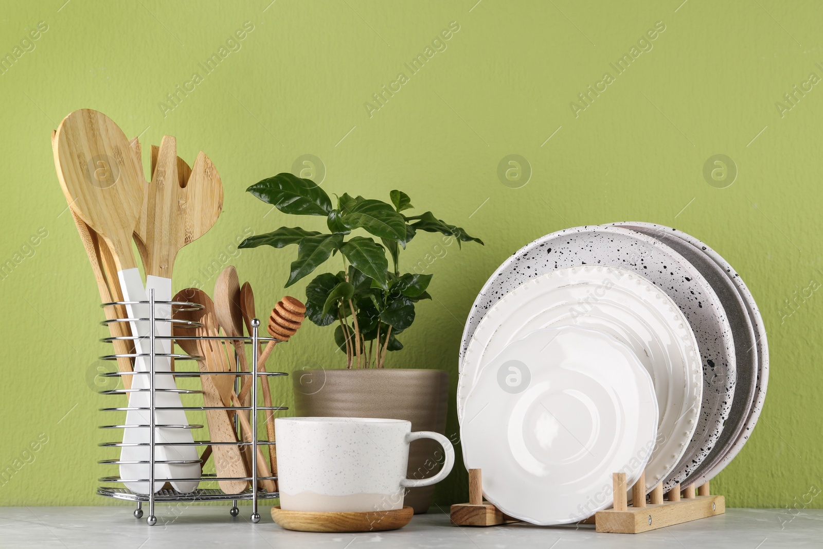Photo of Potted plant and set of kitchenware on marble table near green wall. Modern interior design