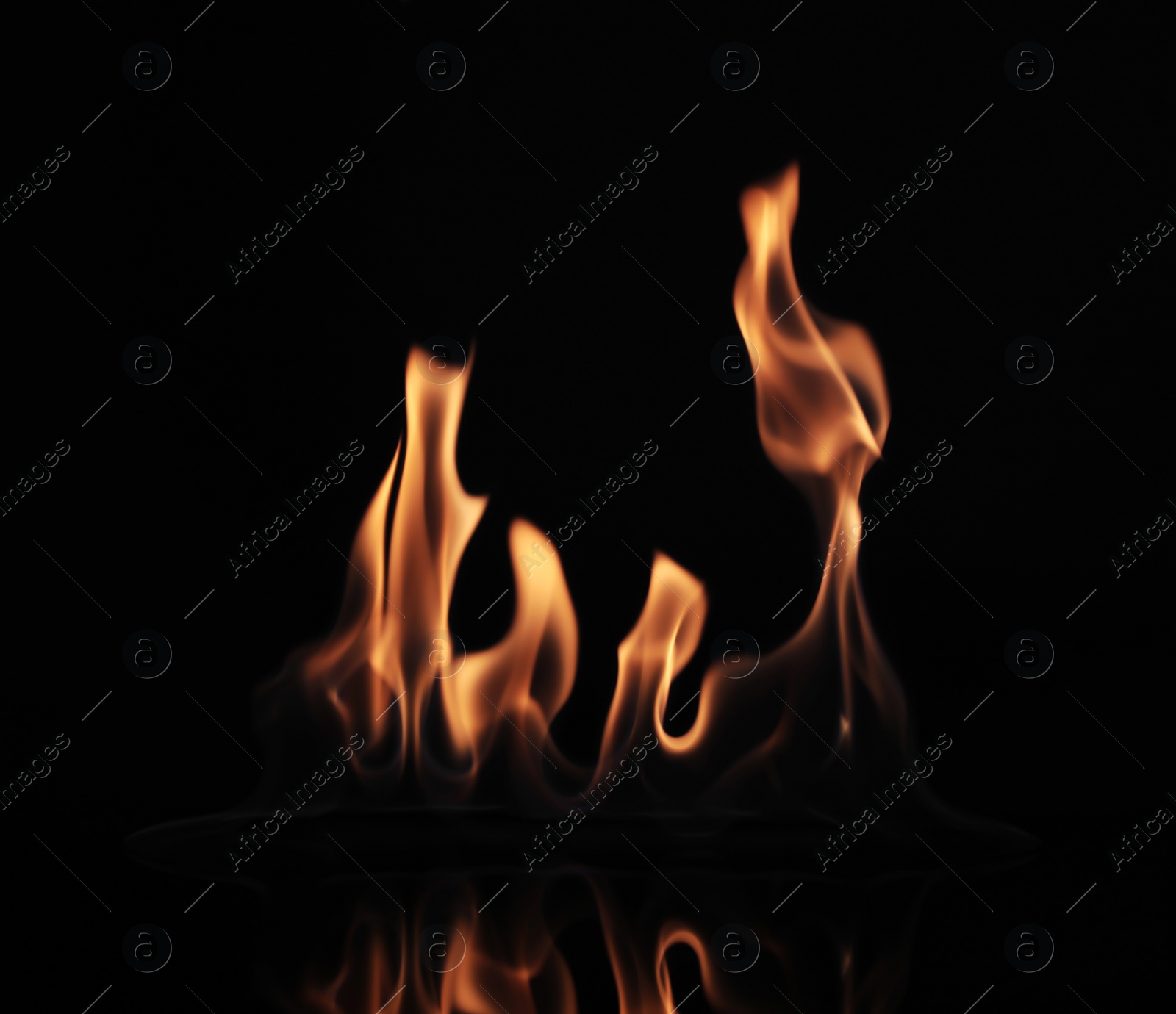 Photo of Beautiful bright fire flames on black background