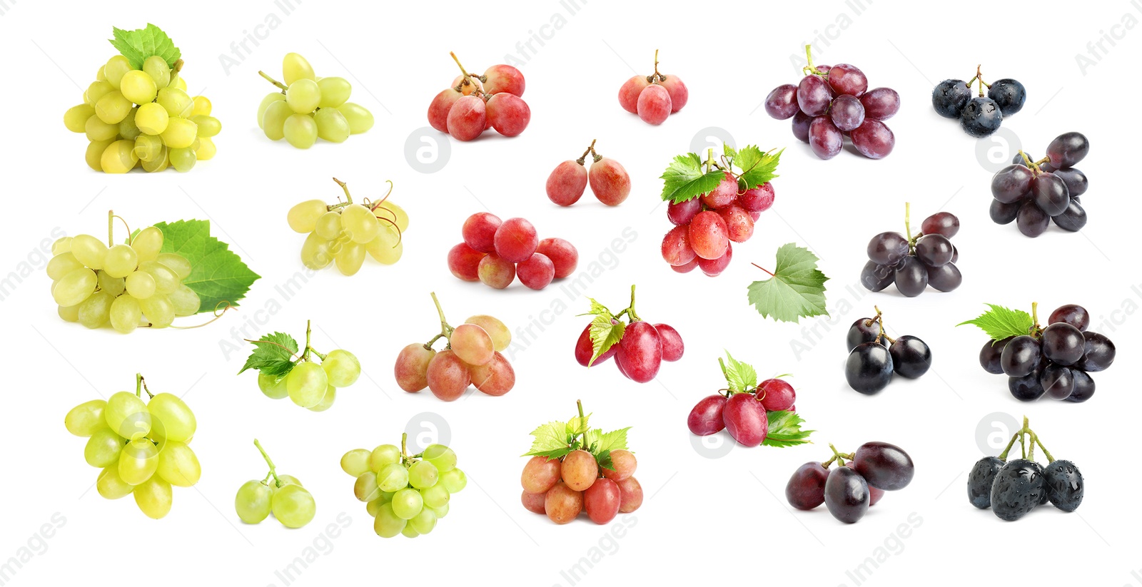 Image of Set with different fresh ripe grapes on white background. Banner design