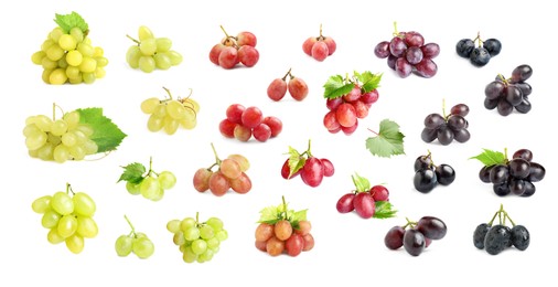 Set with different fresh ripe grapes on white background. Banner design