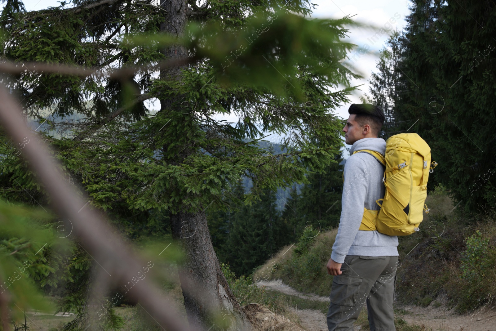 Photo of Tourist with backpack in forest, space for text