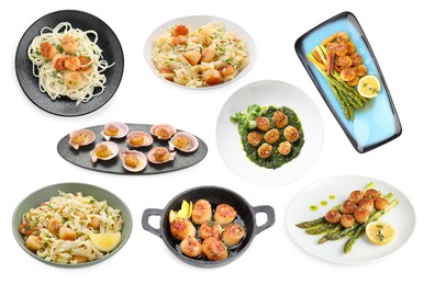 Image of Set of different dishes with scallops isolated on white