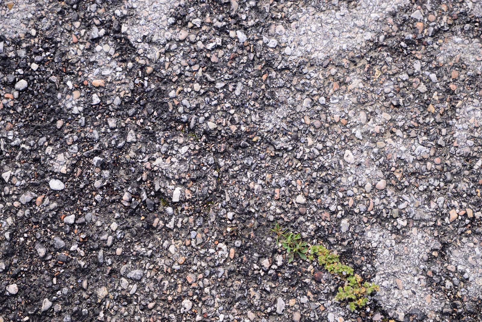 Photo of Texture of asphalt surface as background, top view