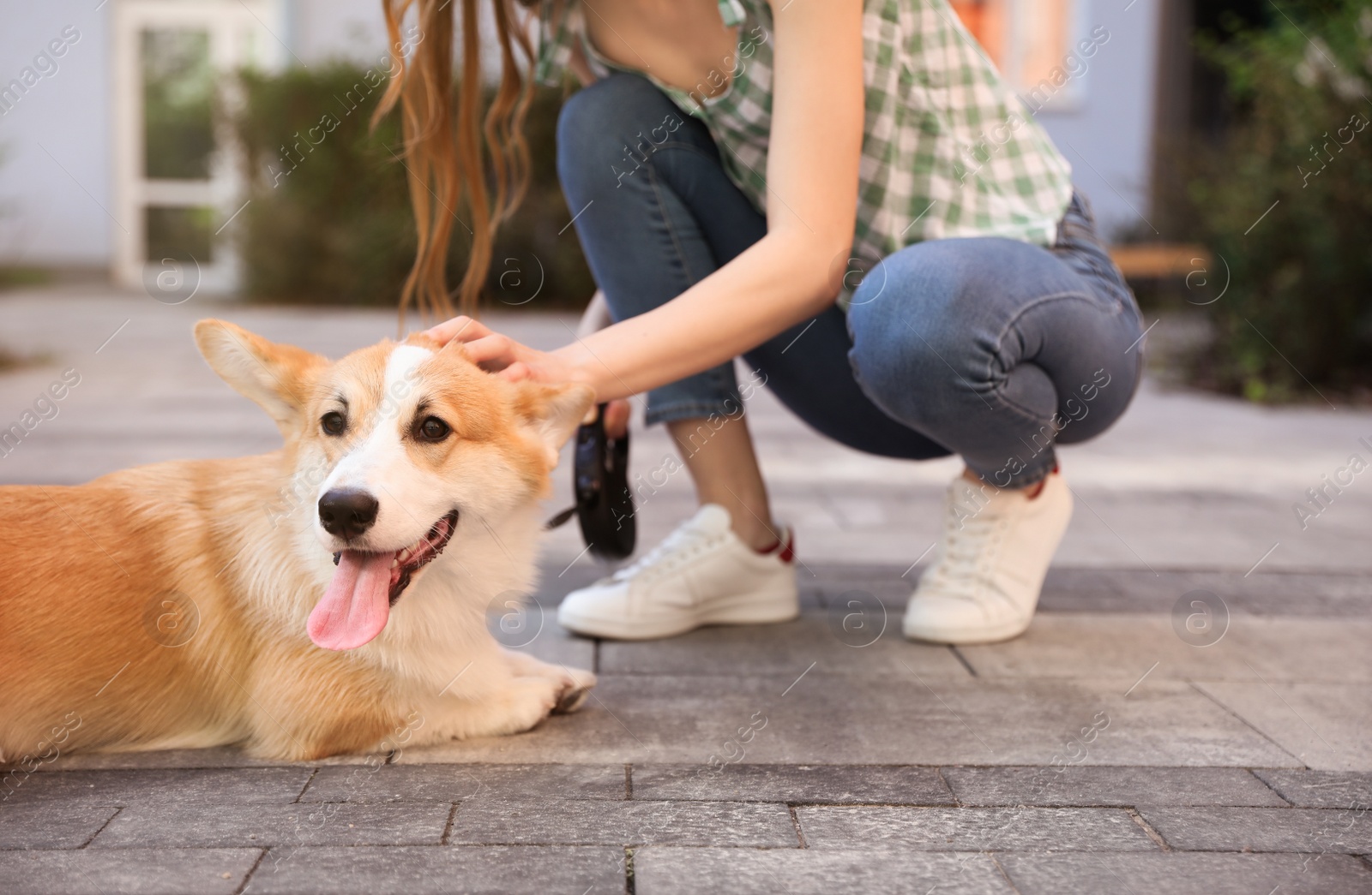 Photo of Woman with her adorable Pembroke Welsh Corgi dog outdoors