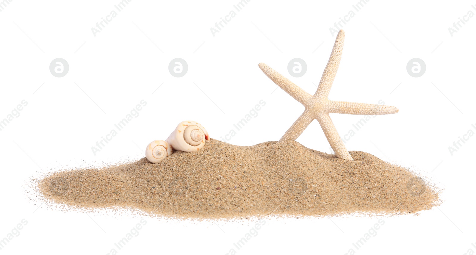 Photo of Beautiful sea star, shells and sand isolated on white