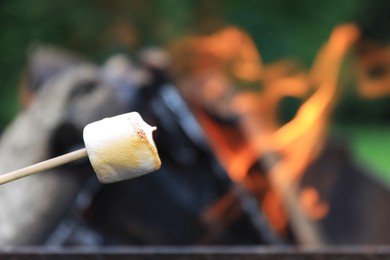 Photo of Delicious puffy marshmallow roasting over bonfire, closeup. Space for text