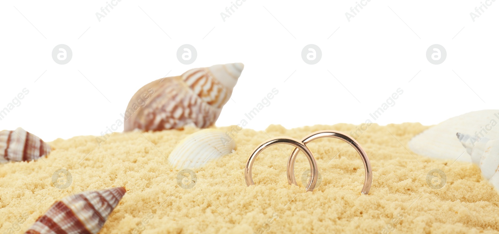 Photo of Honeymoon concept. Two golden rings, seashells and sand isolated on white