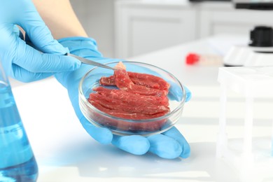 Scientist taking raw cultured meat out of Petri dish with tweezers at white table in laboratory, closeup