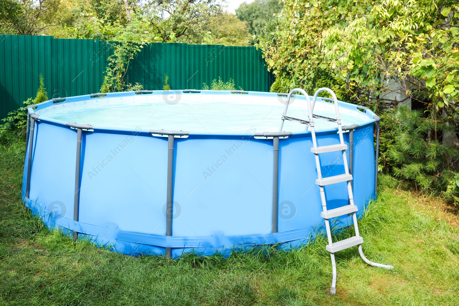 Photo of Above ground swimming pool on grass in backyard