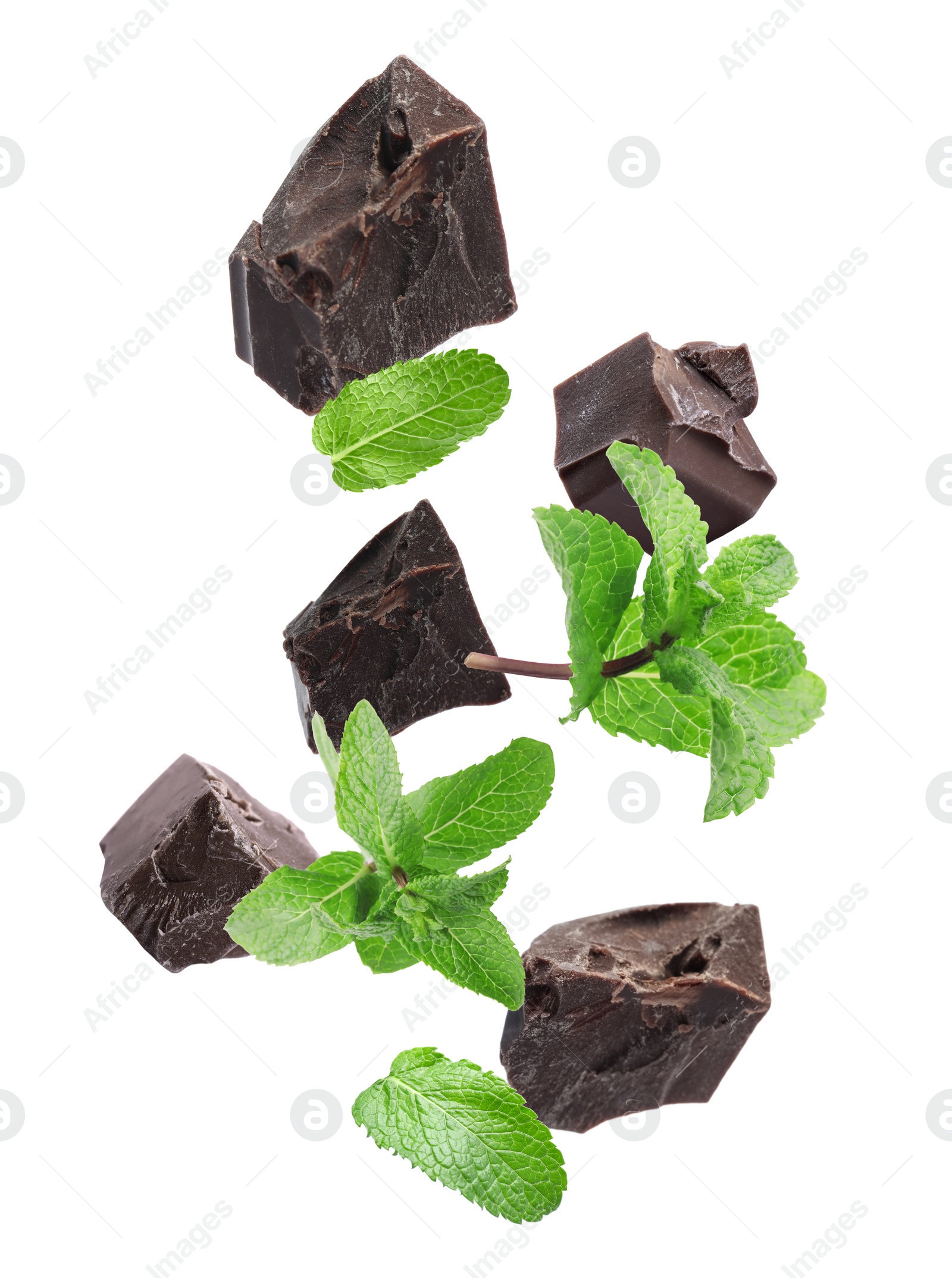 Image of Black chocolate pieces and mint falling on white background