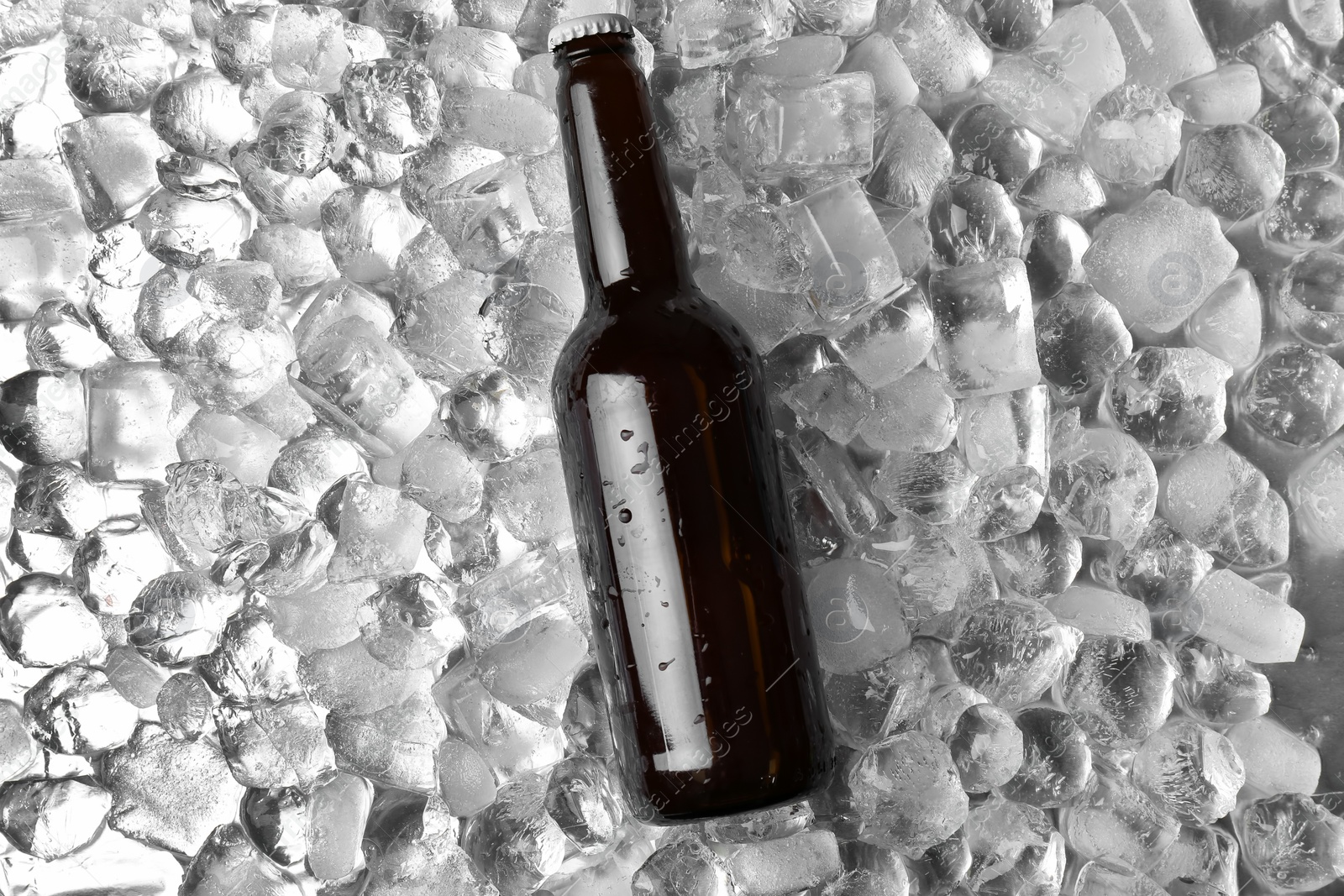 Photo of Bottle of beer on ice cubes, top view