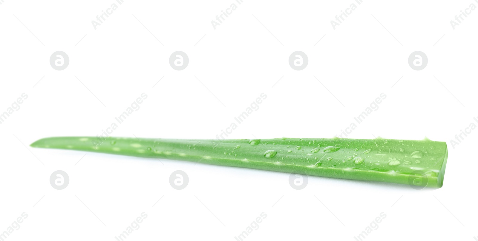 Photo of Aloe vera leaf on white background