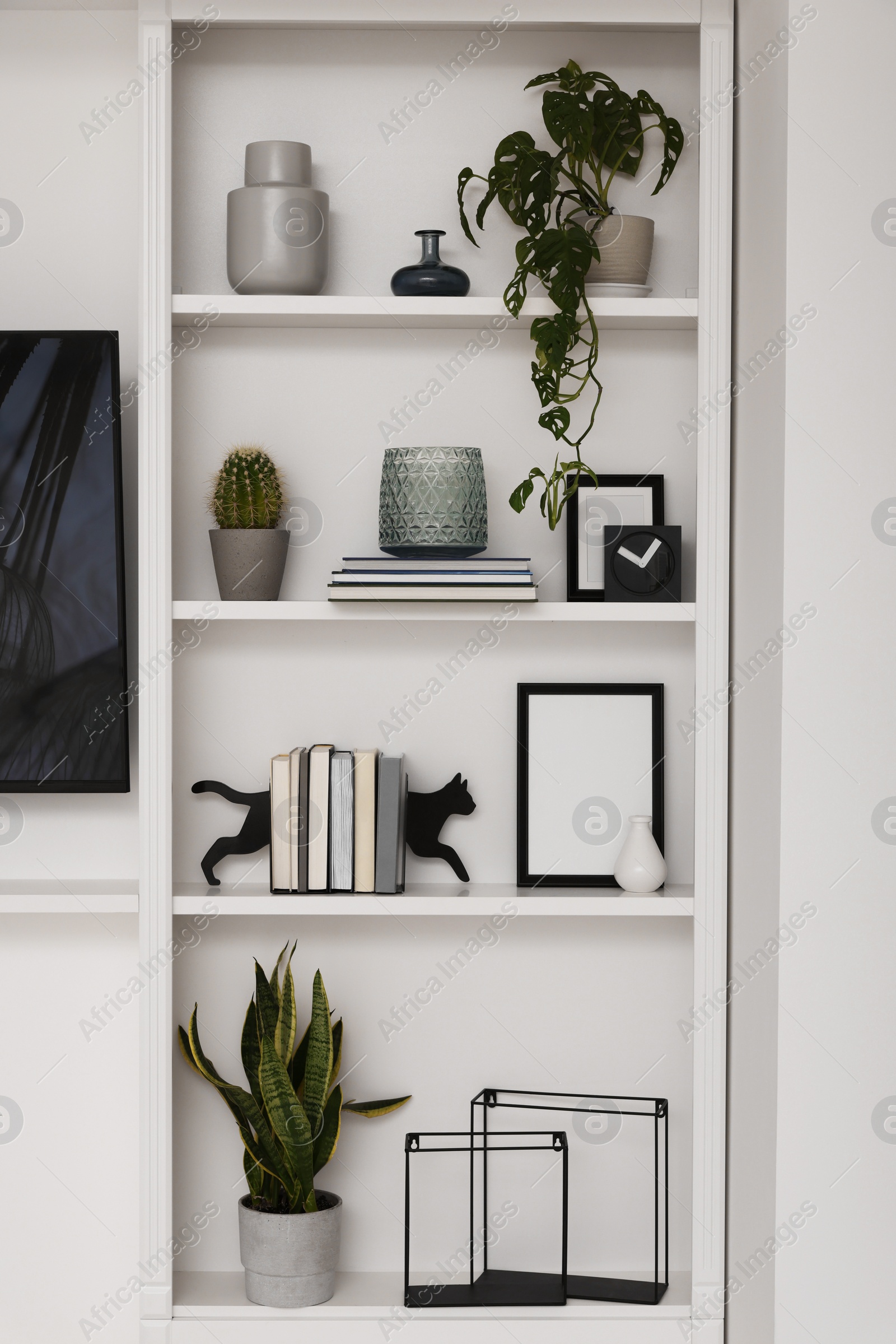 Photo of Interior design. Shelves with stylish accessories, potted plants and frame near white wall