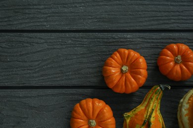 Photo of Many different pumpkins on wooden table, flat lay. Space for text