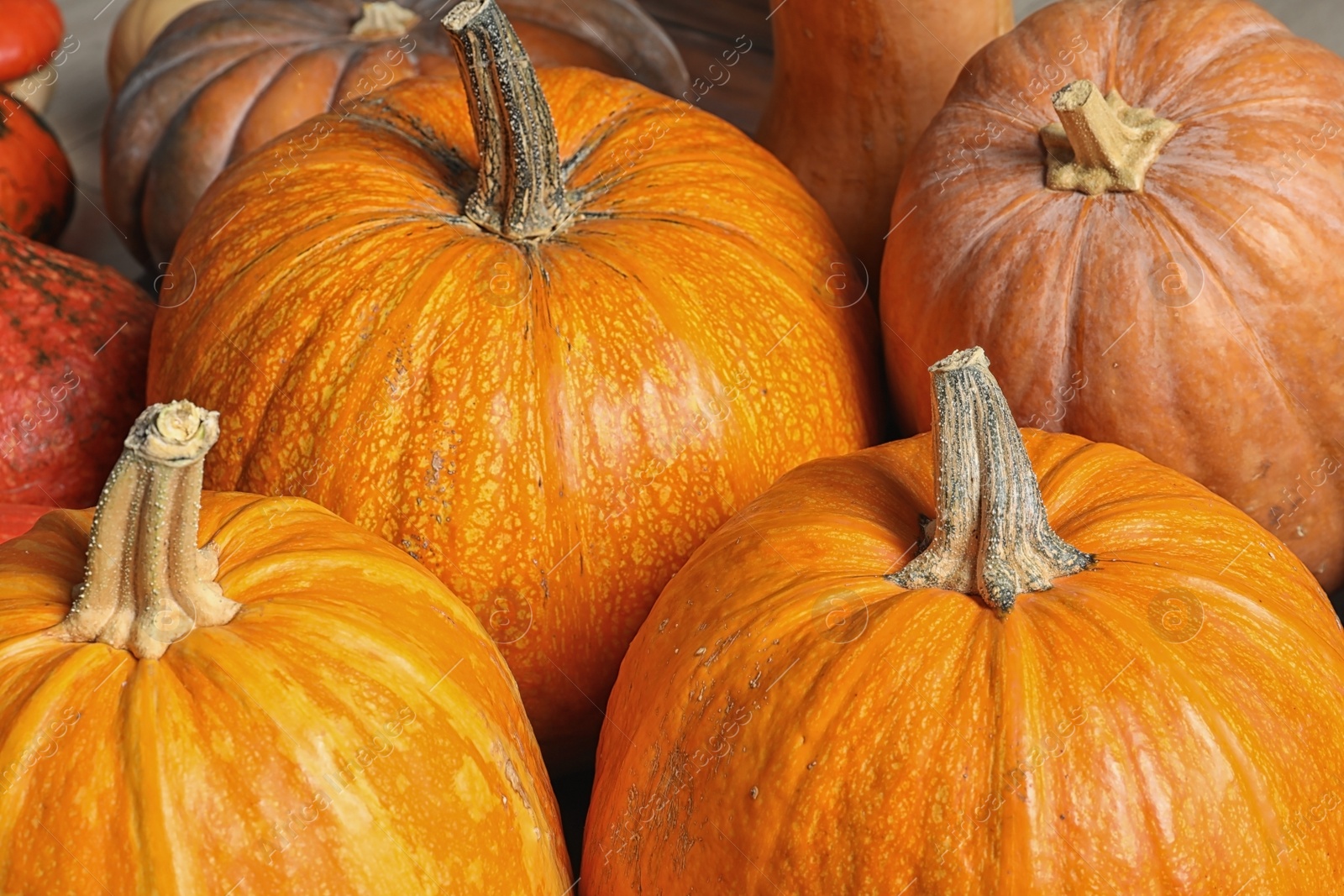 Photo of Many orange pumpkins as background, closeup. Autumn holidays