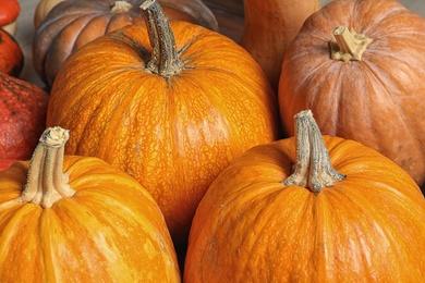 Many orange pumpkins as background, closeup. Autumn holidays