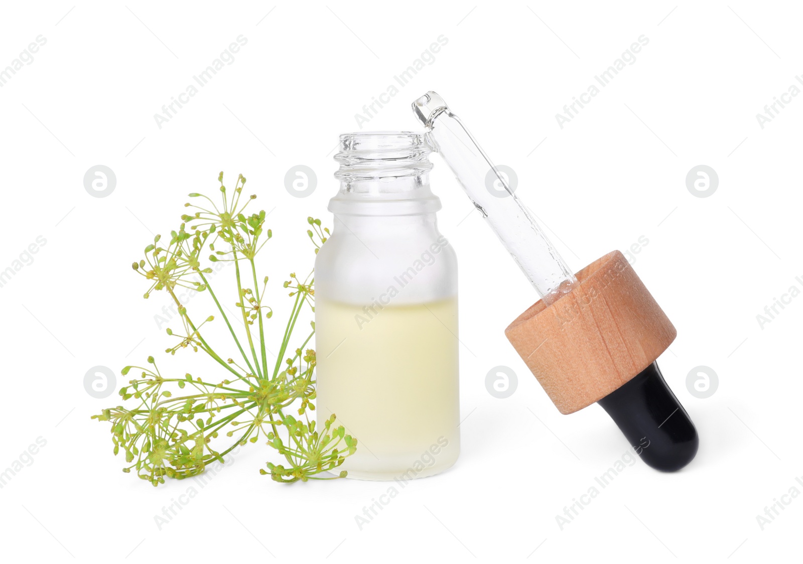 Photo of Bottle of essential oil, pipette and fresh dill isolated on white