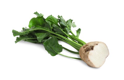 Photo of Half of sugar beet on white background